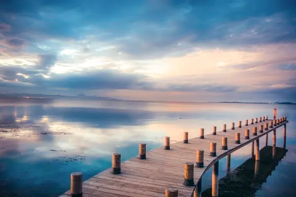 大枣做法美食视频