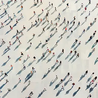 腐竹小美食做法