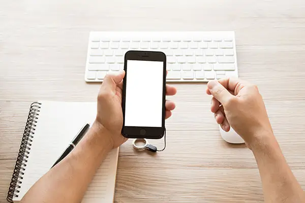 美食做法绿豆饼