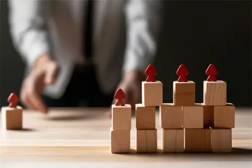 懒人美食做法炒饭